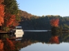 bonechoautumnleaves-1