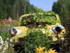 cargarden-1