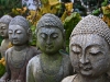 Serenity times four