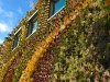 Living wall