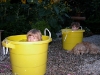 Outdoor bathing