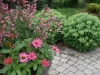lasttwoyearflowerpot